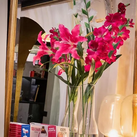 奥尔索罗莱酒店 酒店